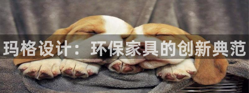 沐鸣平台怎么样：玛格设计：环保家具的创新典范