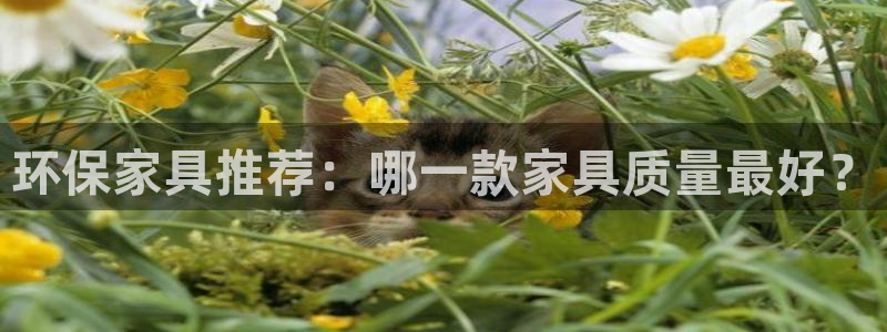 沐鸣平台登录：环保家具推荐：哪一款家具质量最好？