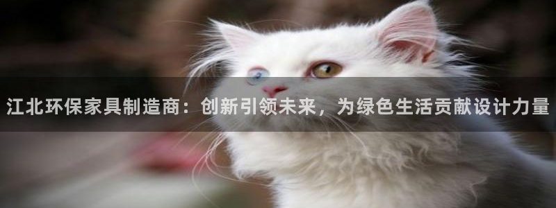 沐鸣官网客服：江北环保家具制造商：创新引领未来，为绿色生活贡