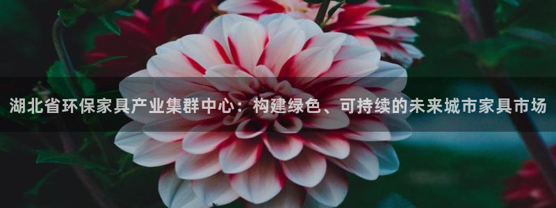 沐鸣平台登录网址是什么：湖北省环保家具产业集群中心：构建绿色