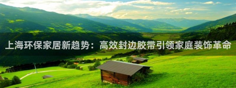 沐鸣app怎样申请退款：上海环保家居新趋势：高效封边胶带引领