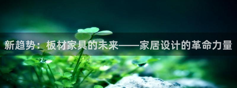 沐鸣平台线路测速登录：新趋势：板材家具的未来——家居设计的革