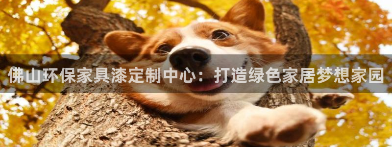 沐鸣注册登入：佛山环保家具漆定制中心：打造绿色家居梦想家园